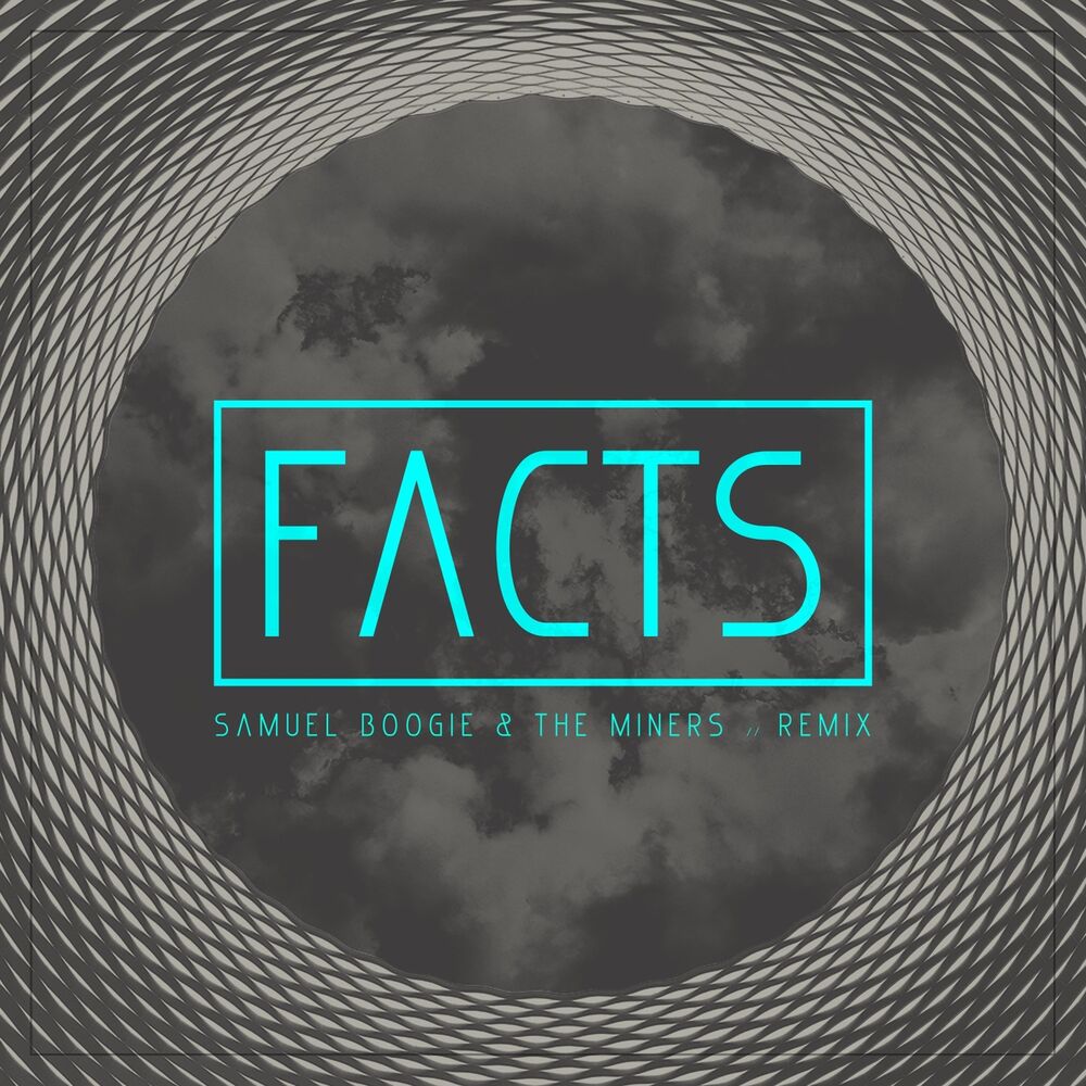 Picture of Facts (Remix)