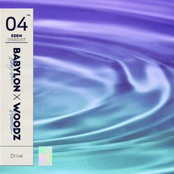 Cover of Drive