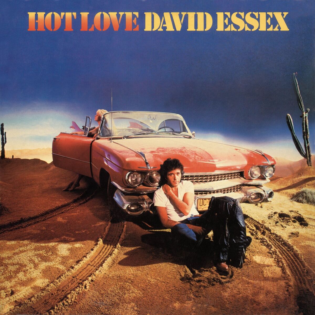 Album cover of Hot Love