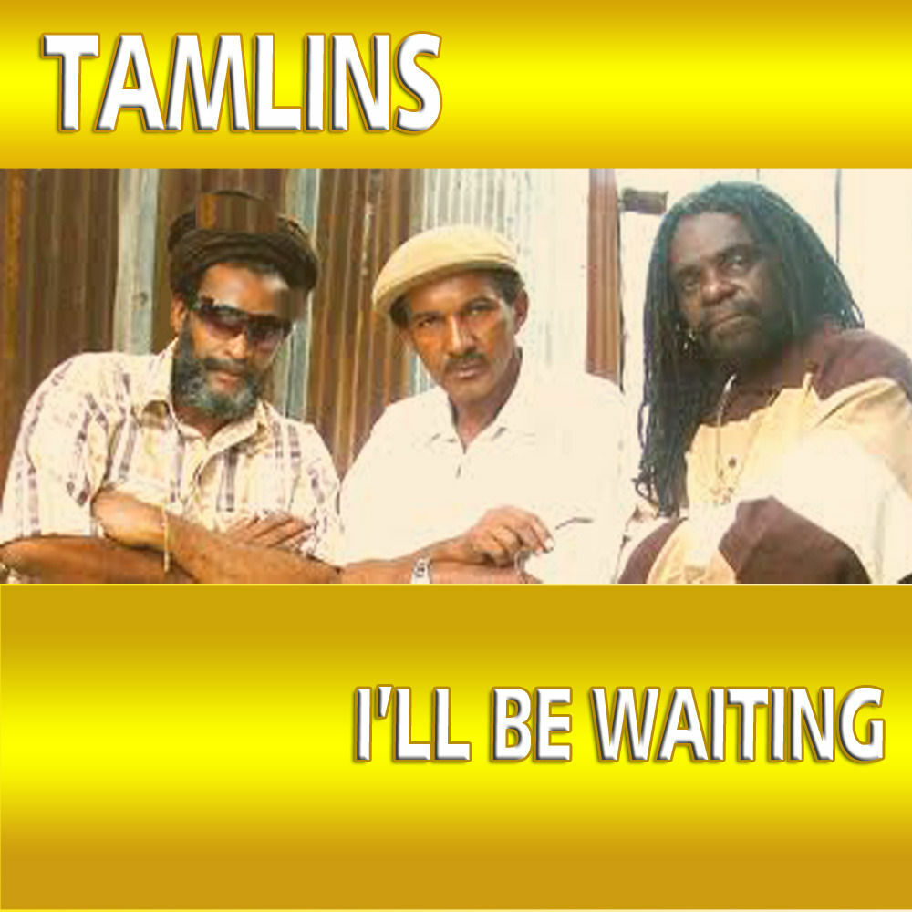 Picture of I'll Be Waiting