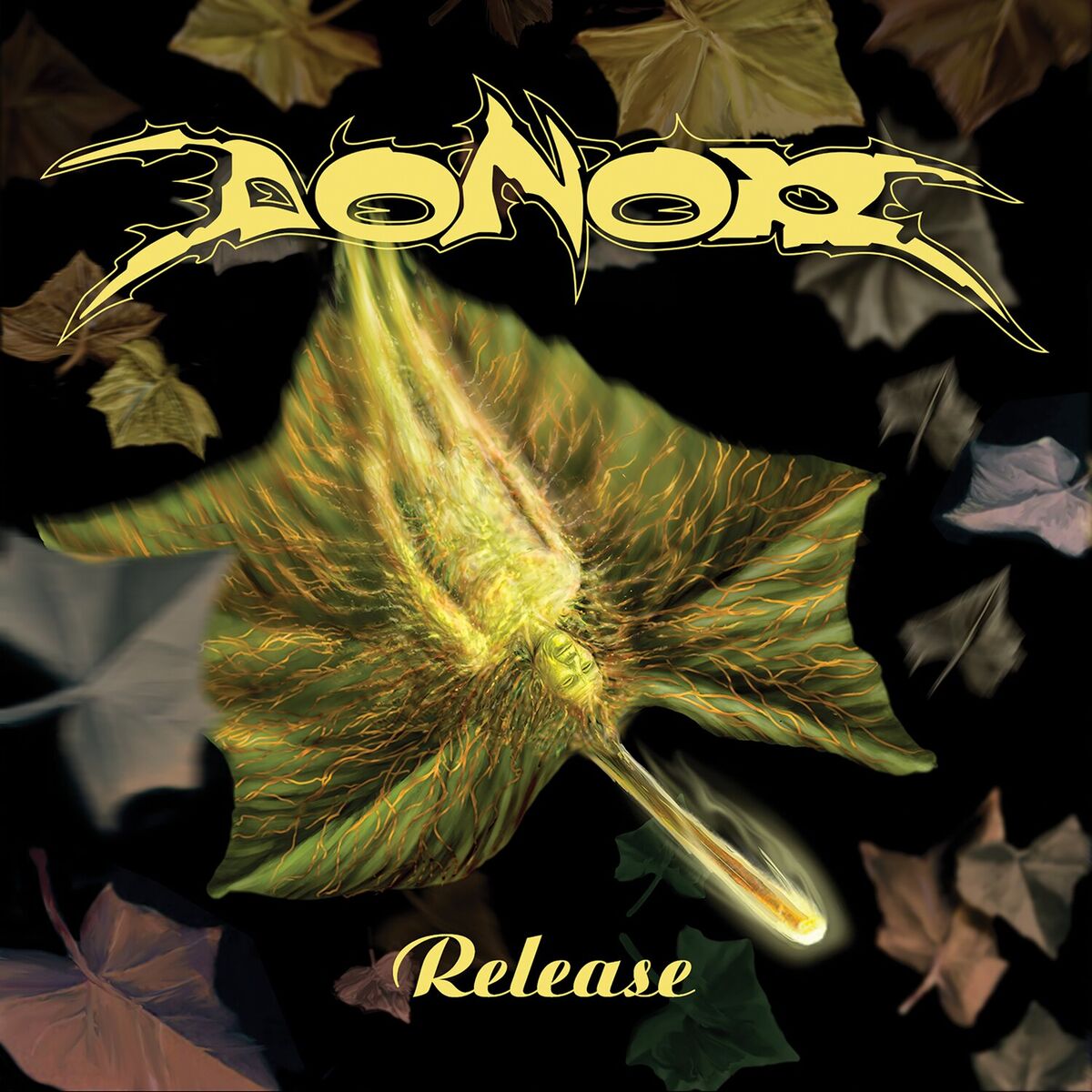 Album cover of Release