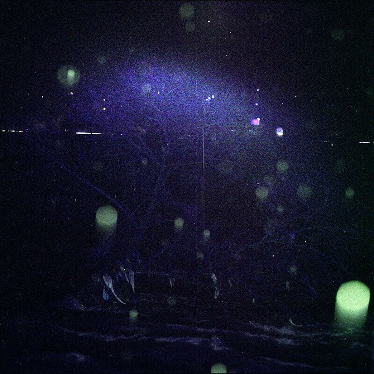 Album cover of GRATITUDE