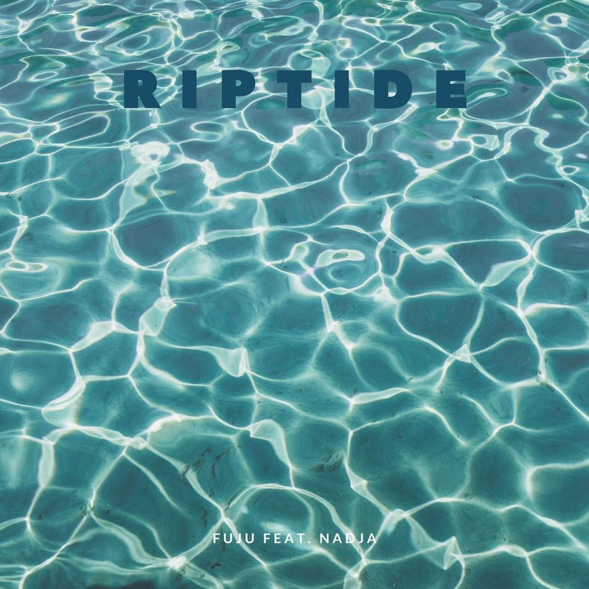 Album cover of Riptide