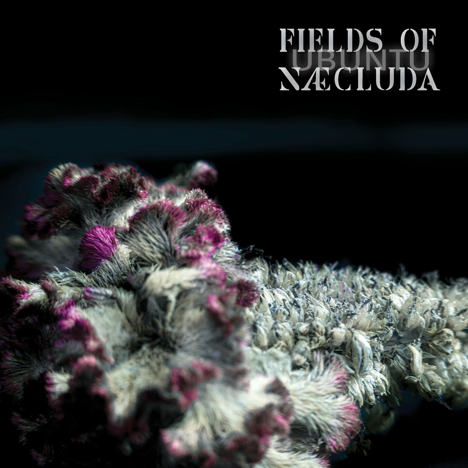 Album cover of Ubuntu