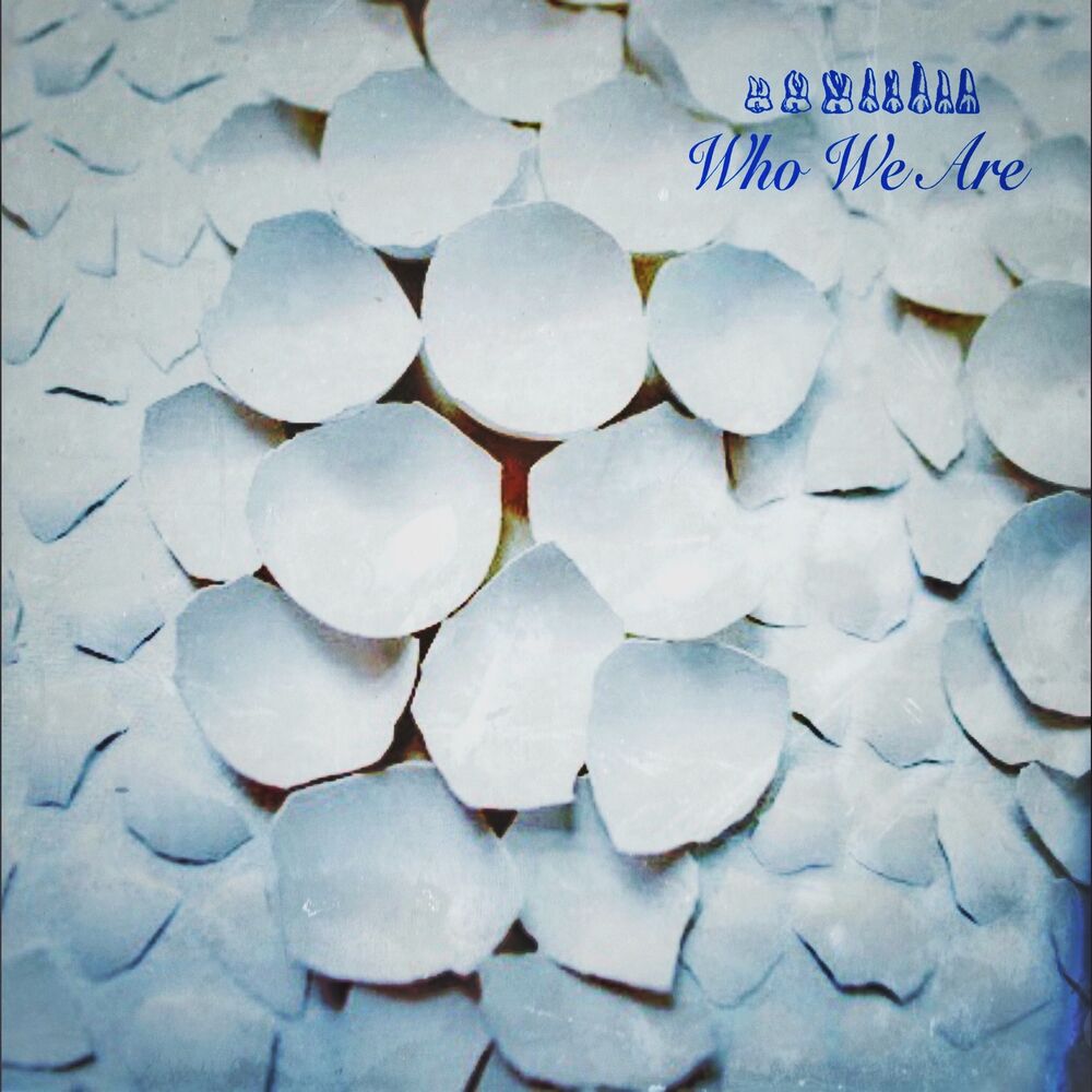 Picture of Trade Winds