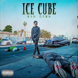 Cover of Man Down