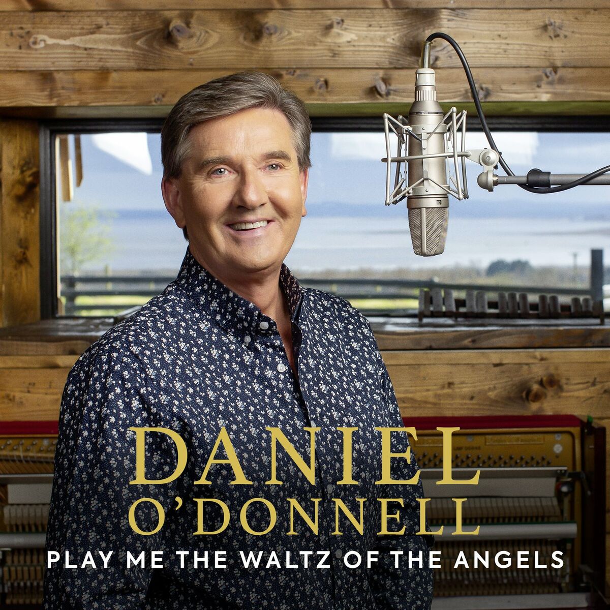 Album cover of Play Me The Waltz Of The Angels