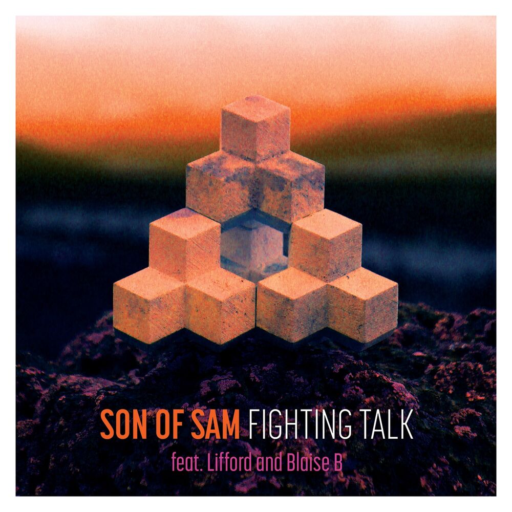 Picture of Fighting Talk