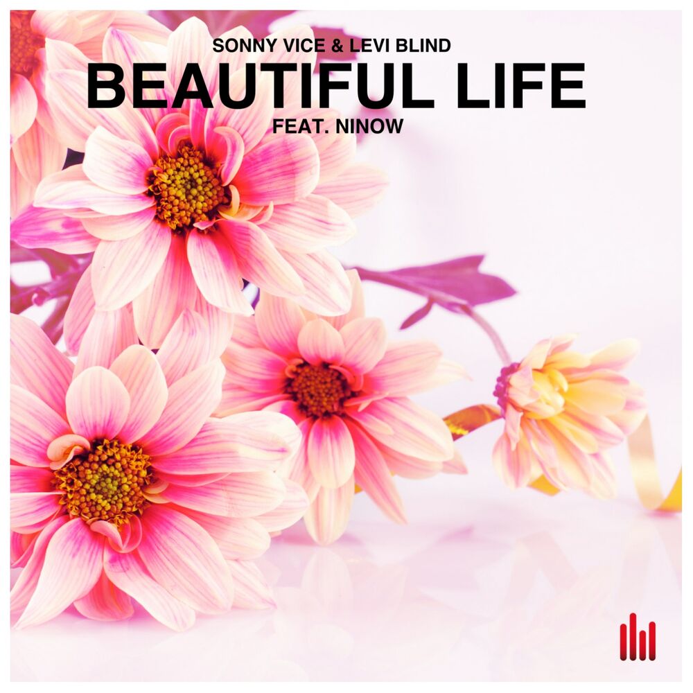 Picture of Beautiful Life