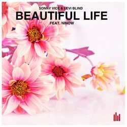 Cover of Beautiful Life