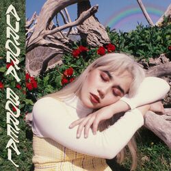 Cover of Aurora Boreal