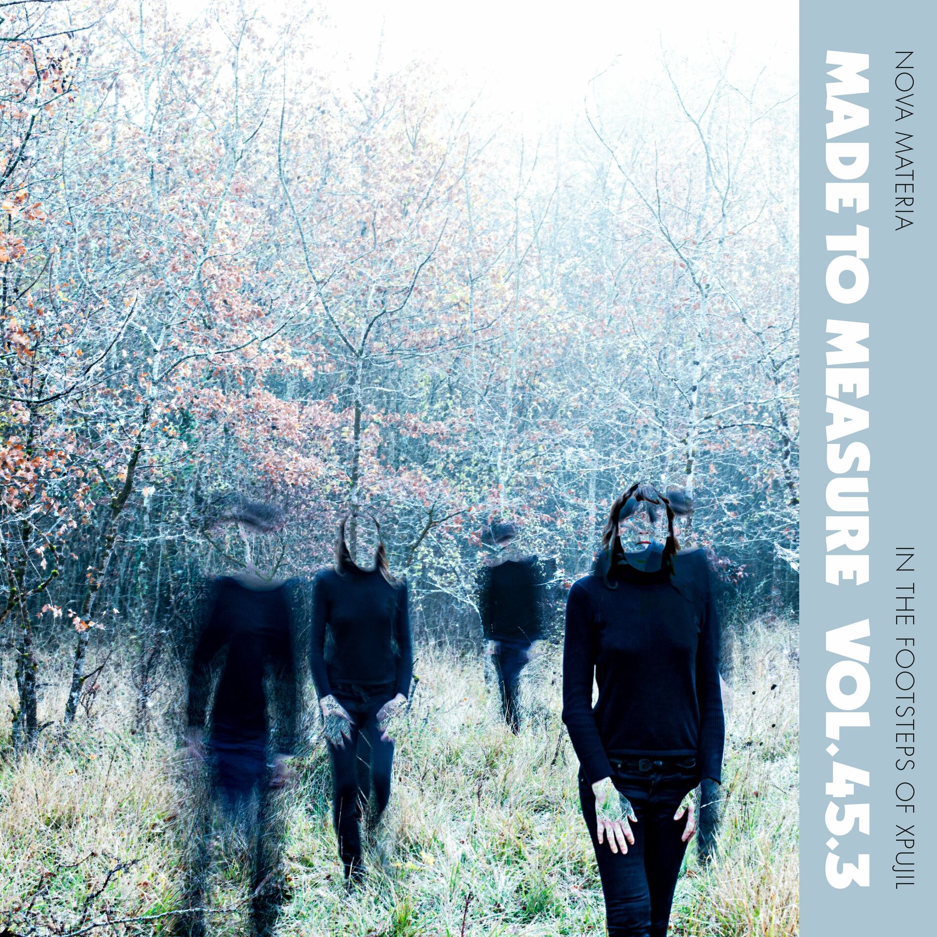 Album cover of In The Footsteps Of Xpujil (Made To Measure Vol. 45.3)