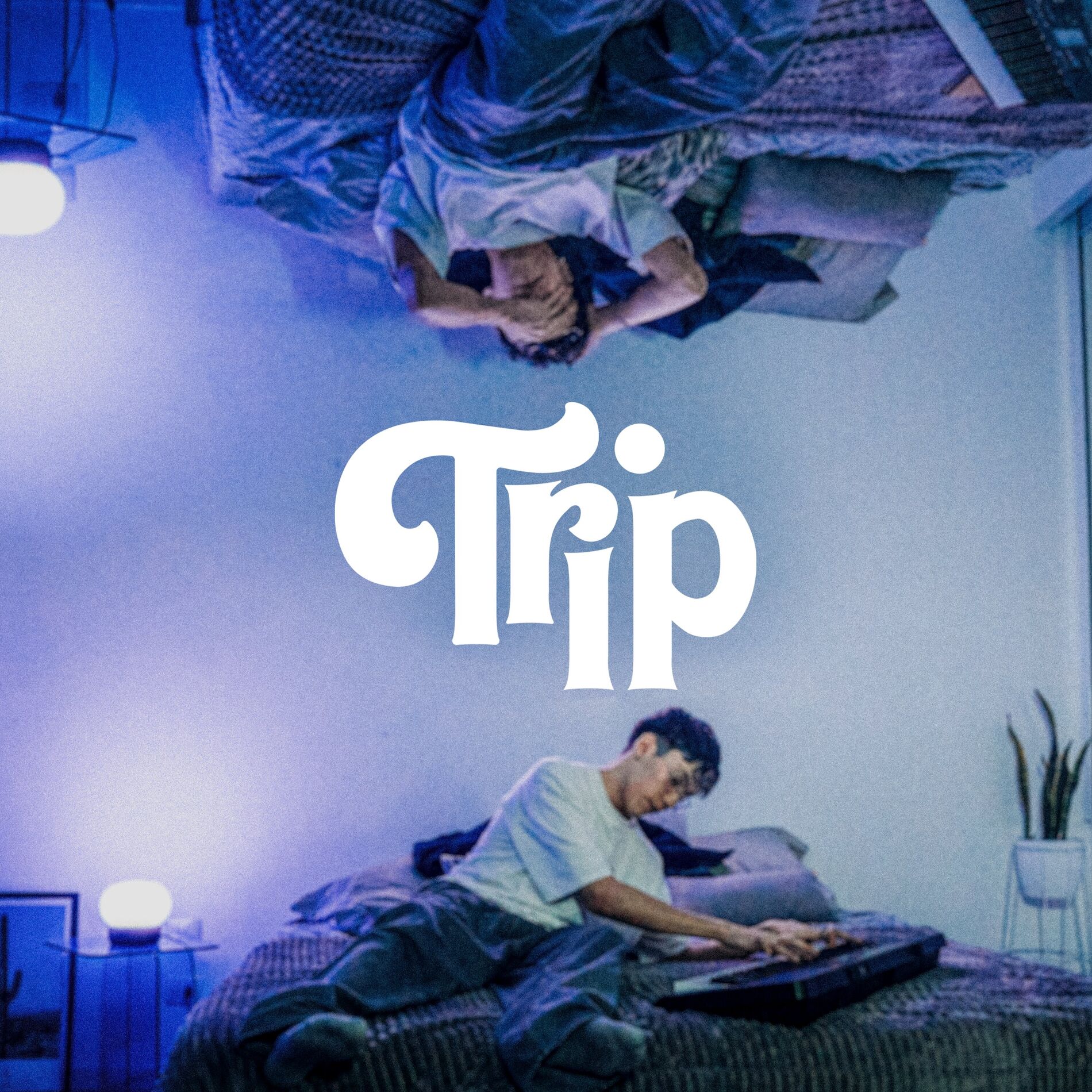 Album cover of Trip