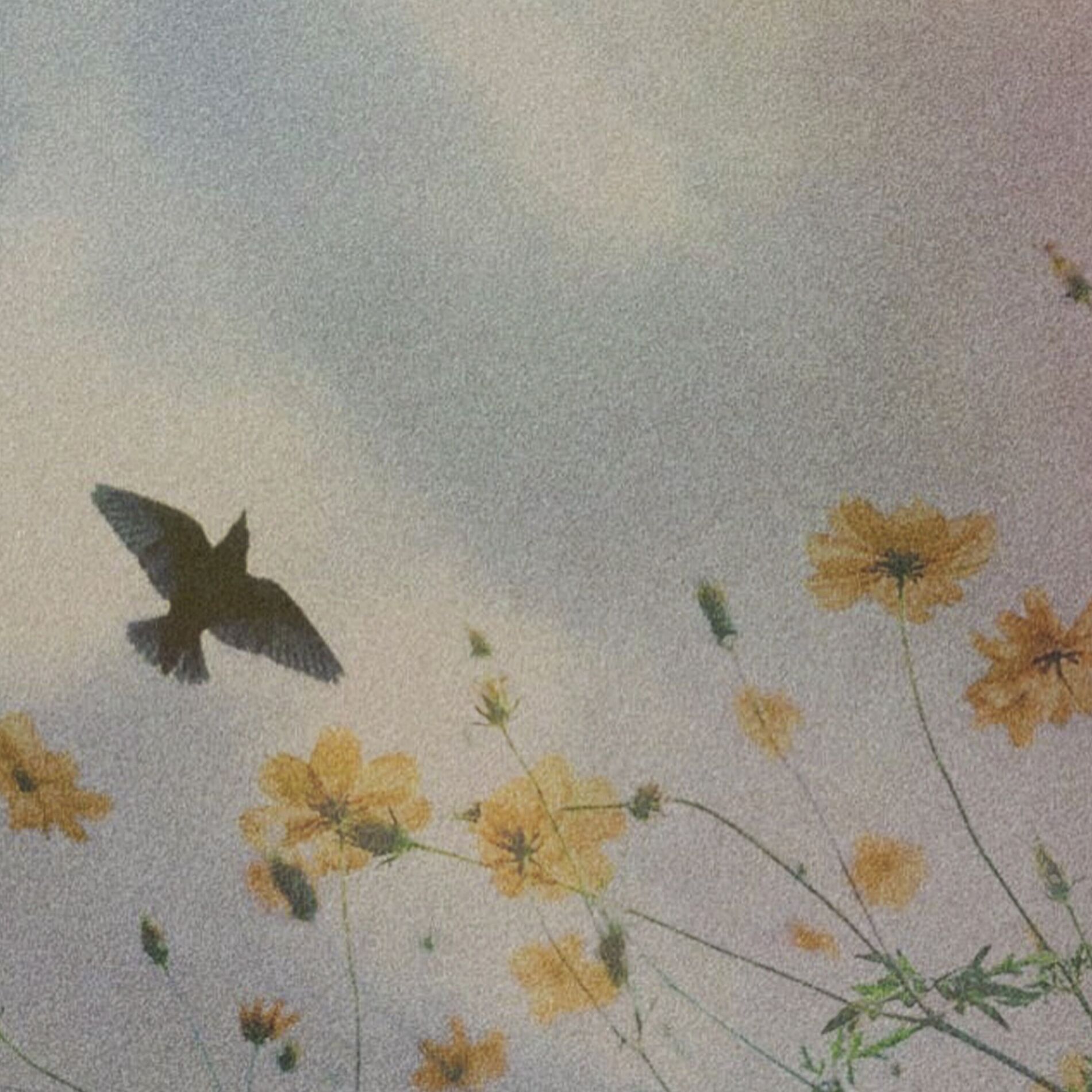 Album cover of Unlocked Memories of Nature