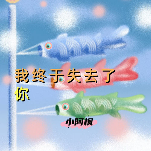 我终于失去了你