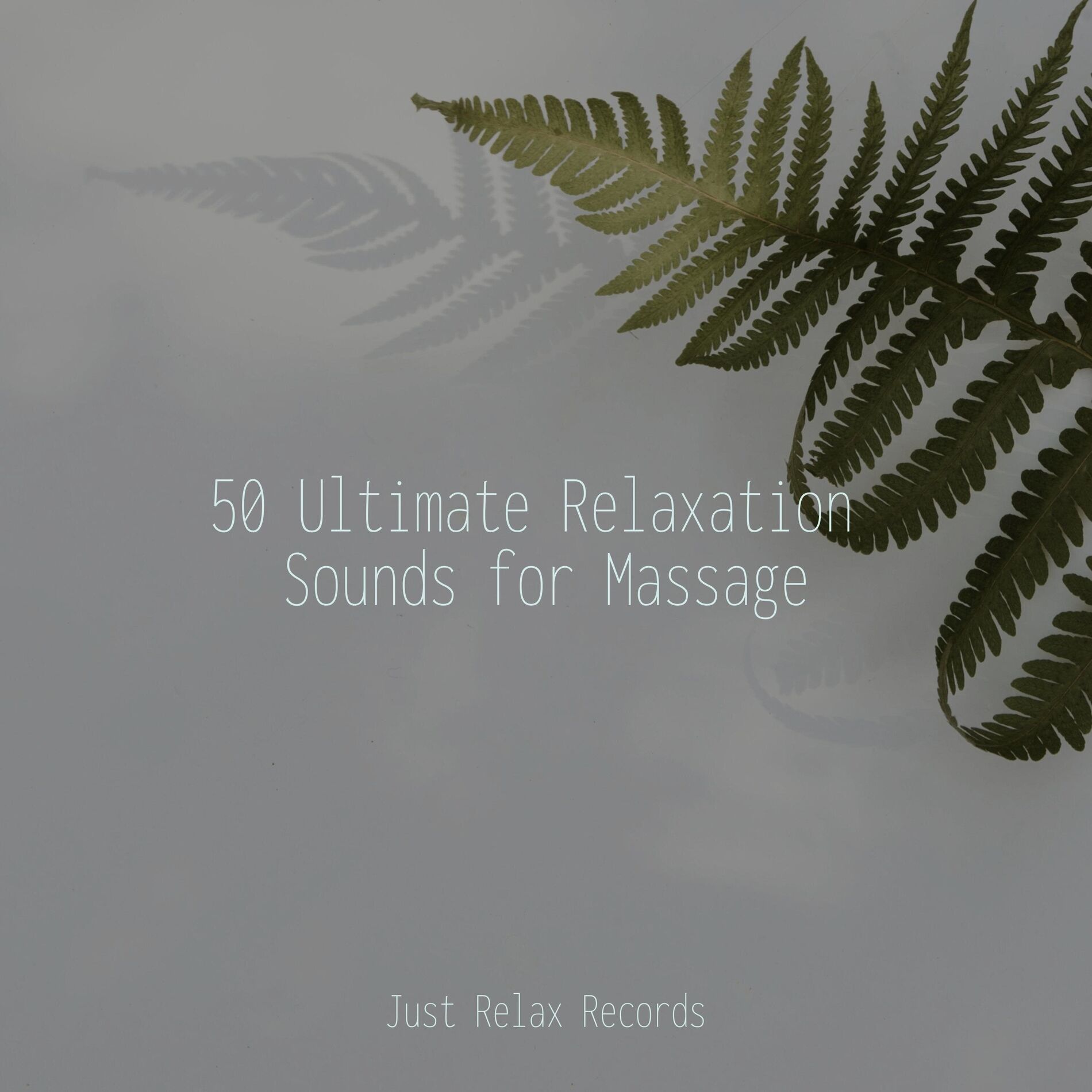 Album cover of 50 Ultimate Relaxation Sounds for Massage