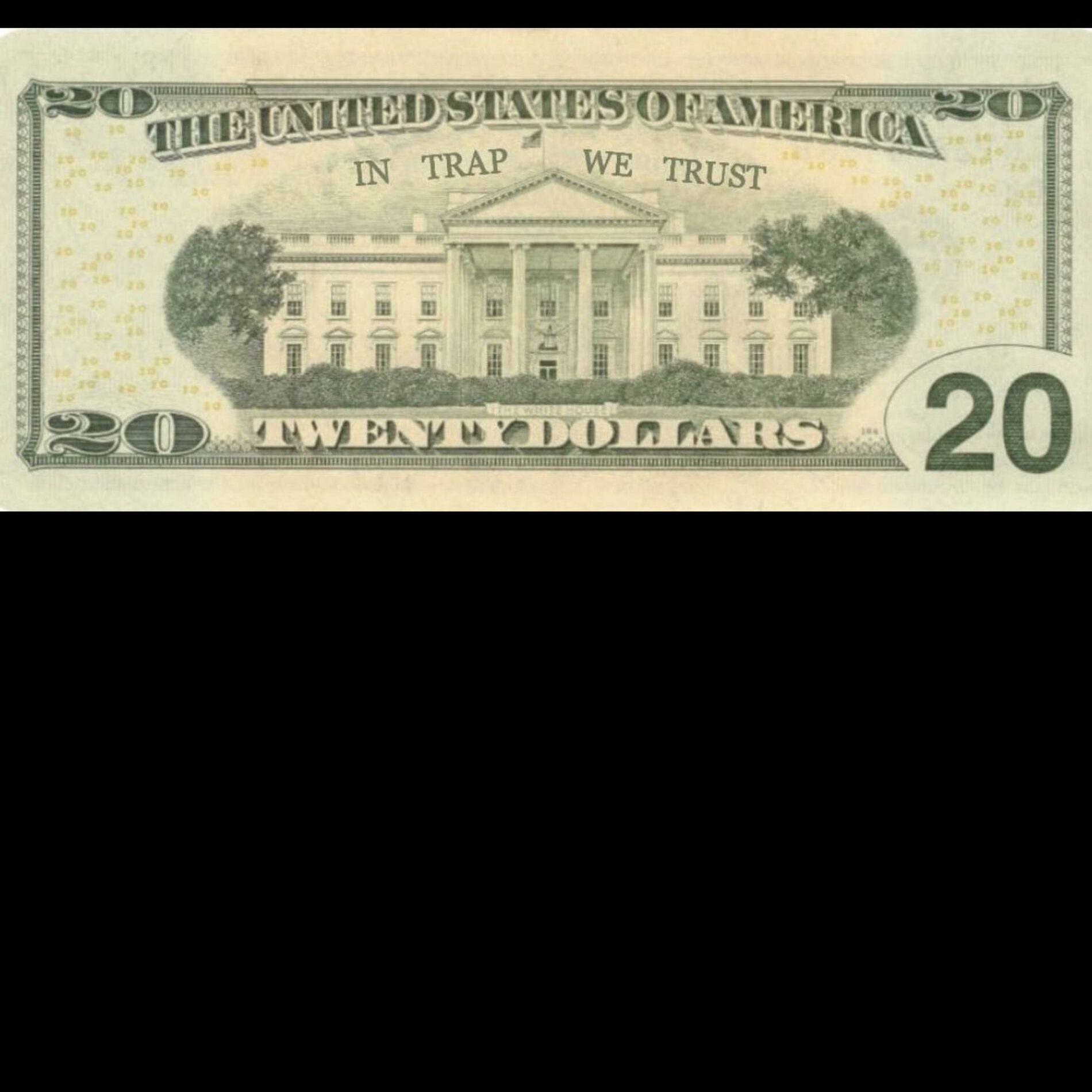Album cover of In Trap We Trust