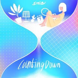 Cover of Counting Down