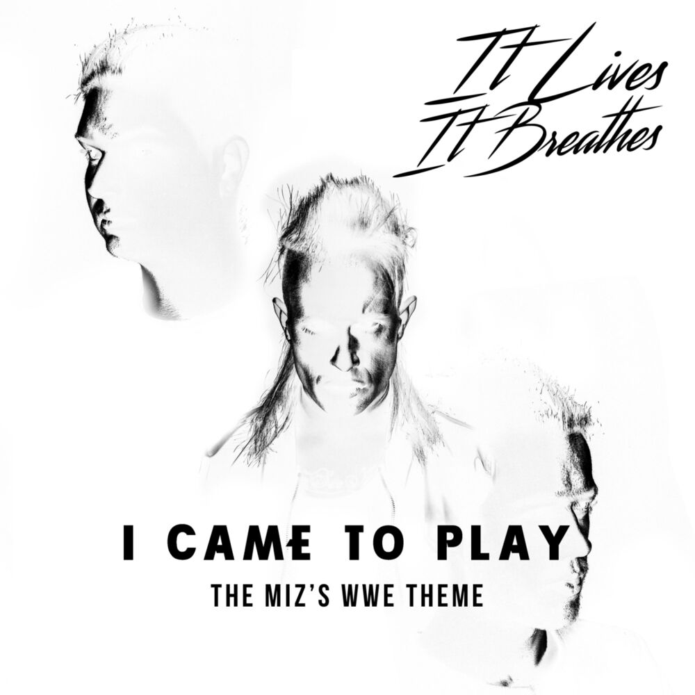 Picture of I Came to Play