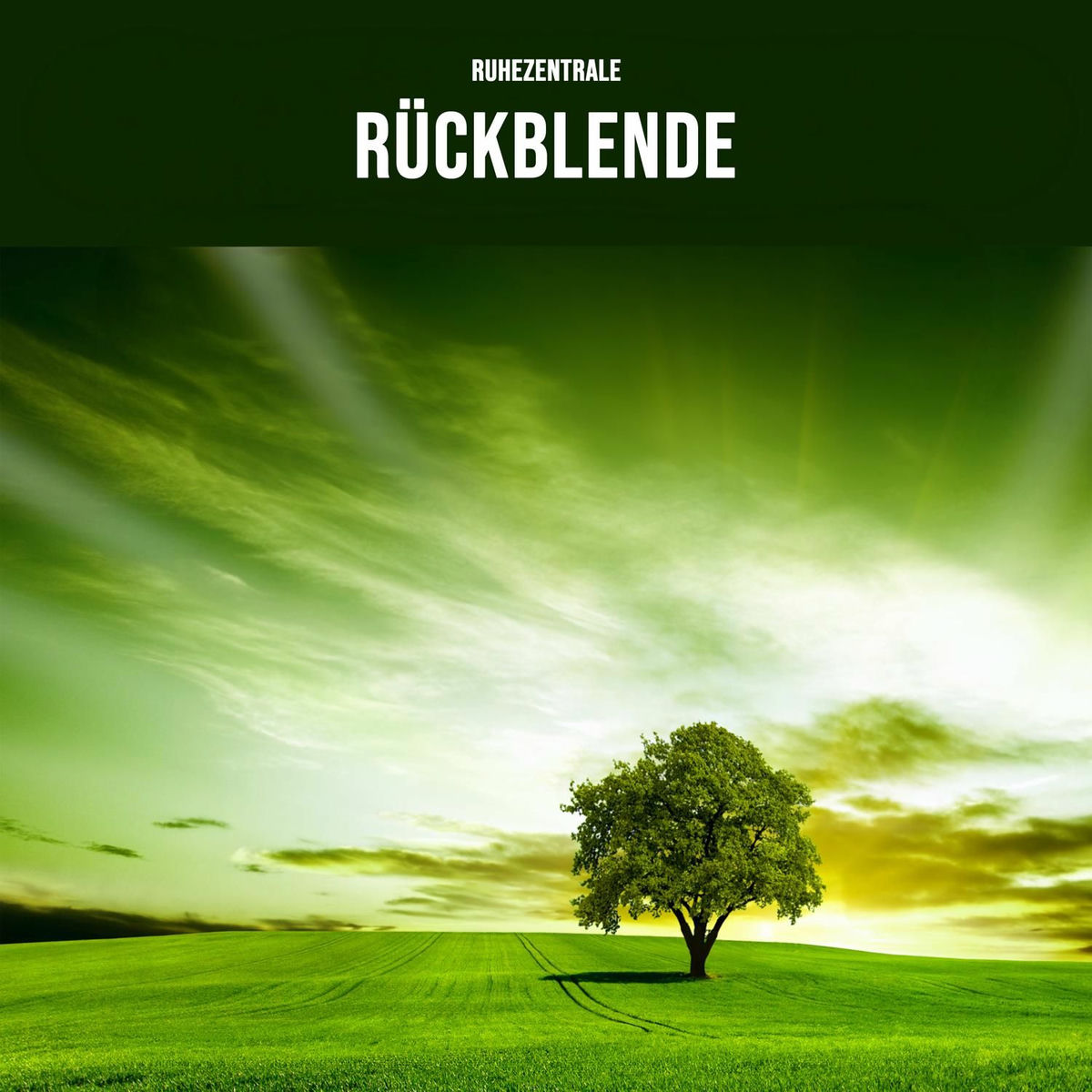 Album cover of Rückblende