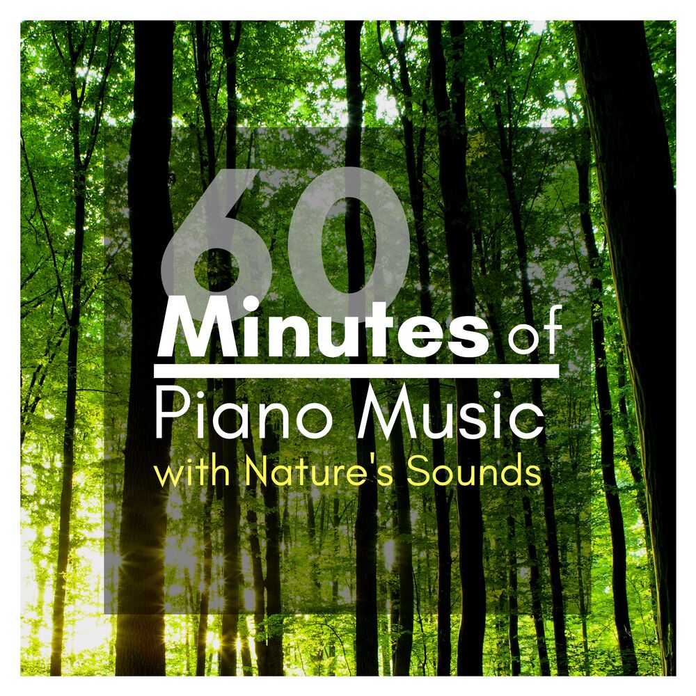 Picture of 60 Minutes of Piano Music with Nature's Sounds