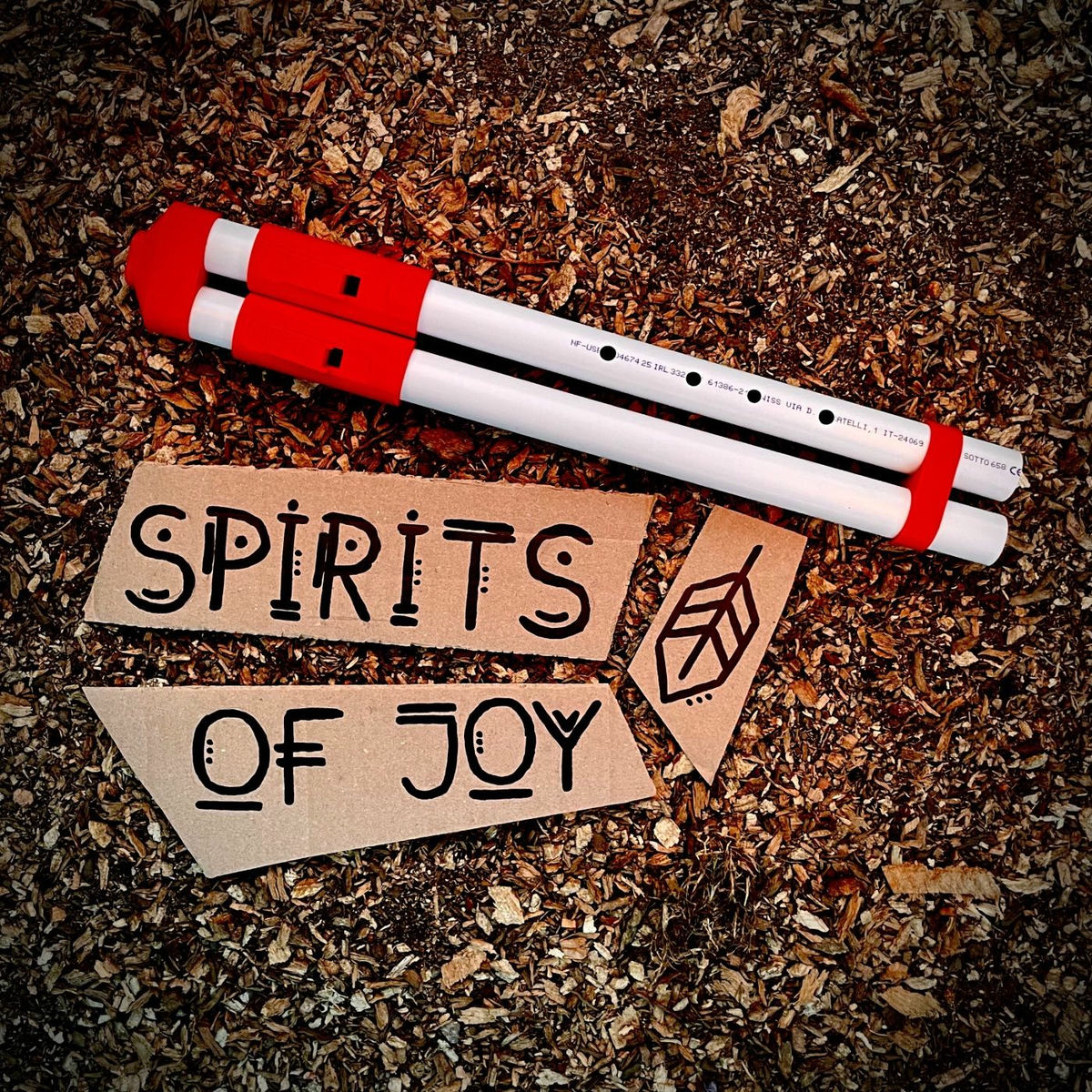 Album cover of Spirits of Joy