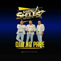 Cover of QUE NO PARE