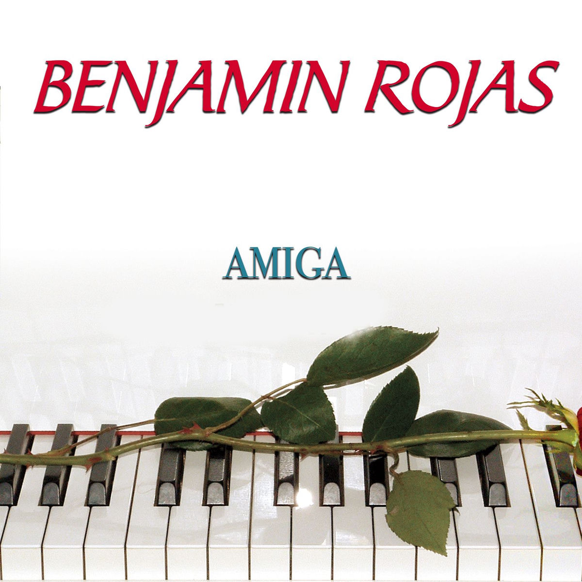 Album cover of Amiga