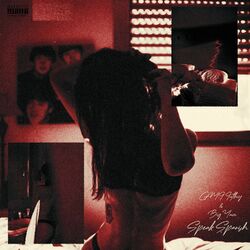 Cover of Speak Spanish