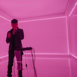 Cover of Pink Venom