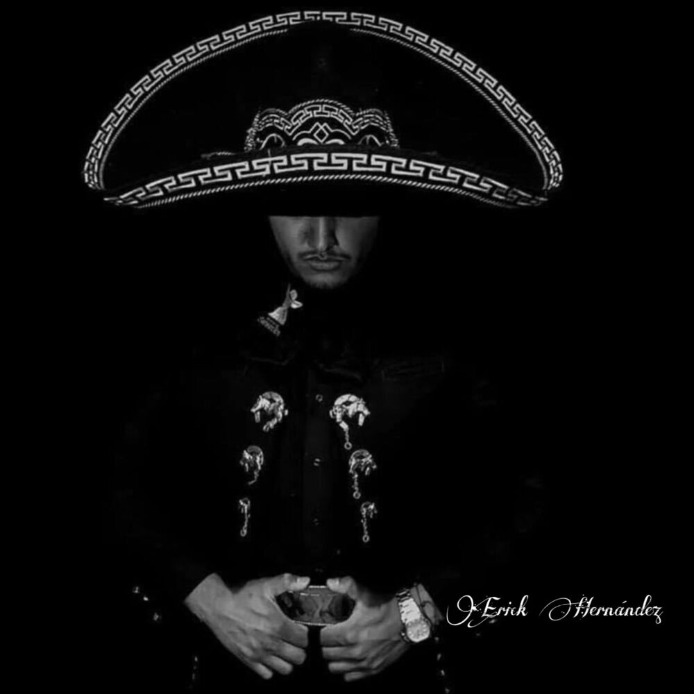 Picture of Yo No Naci para Amar (Cover)