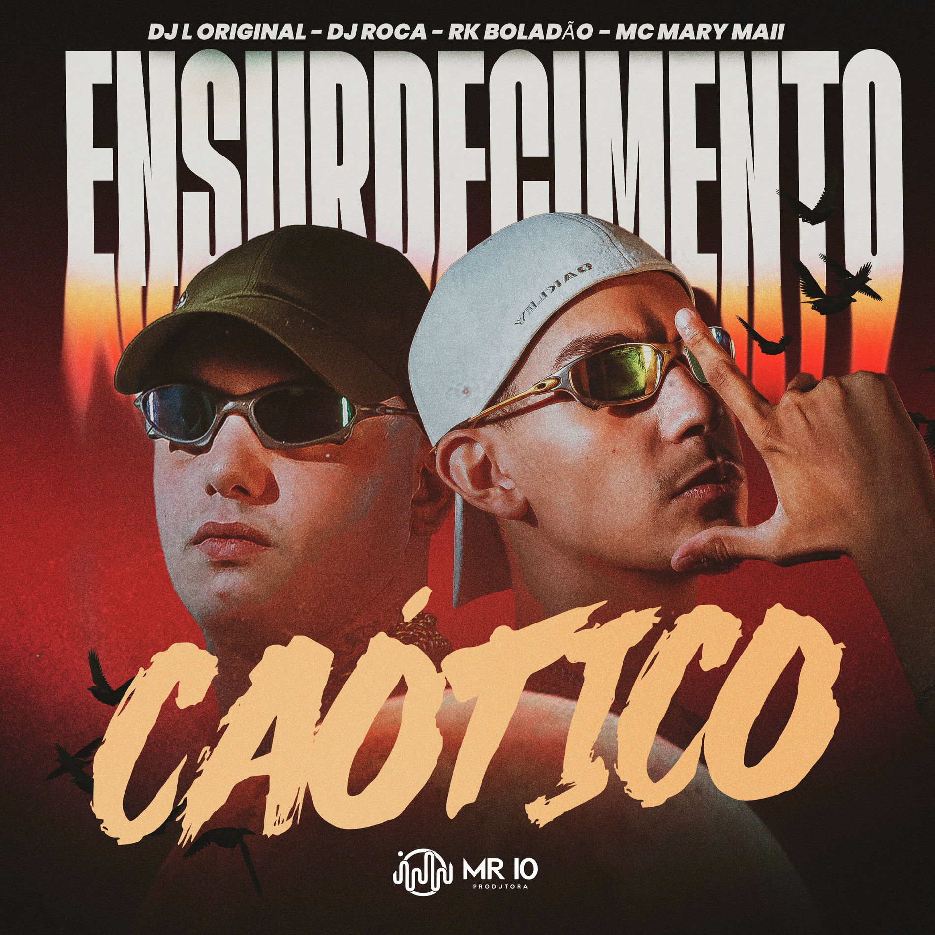Album cover of Ensurdecimento Caótico