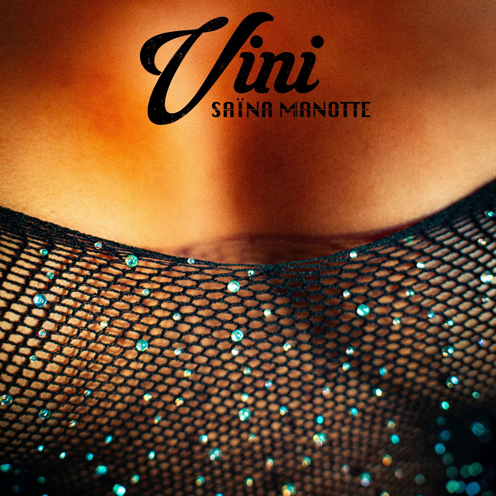 Album cover of Vini