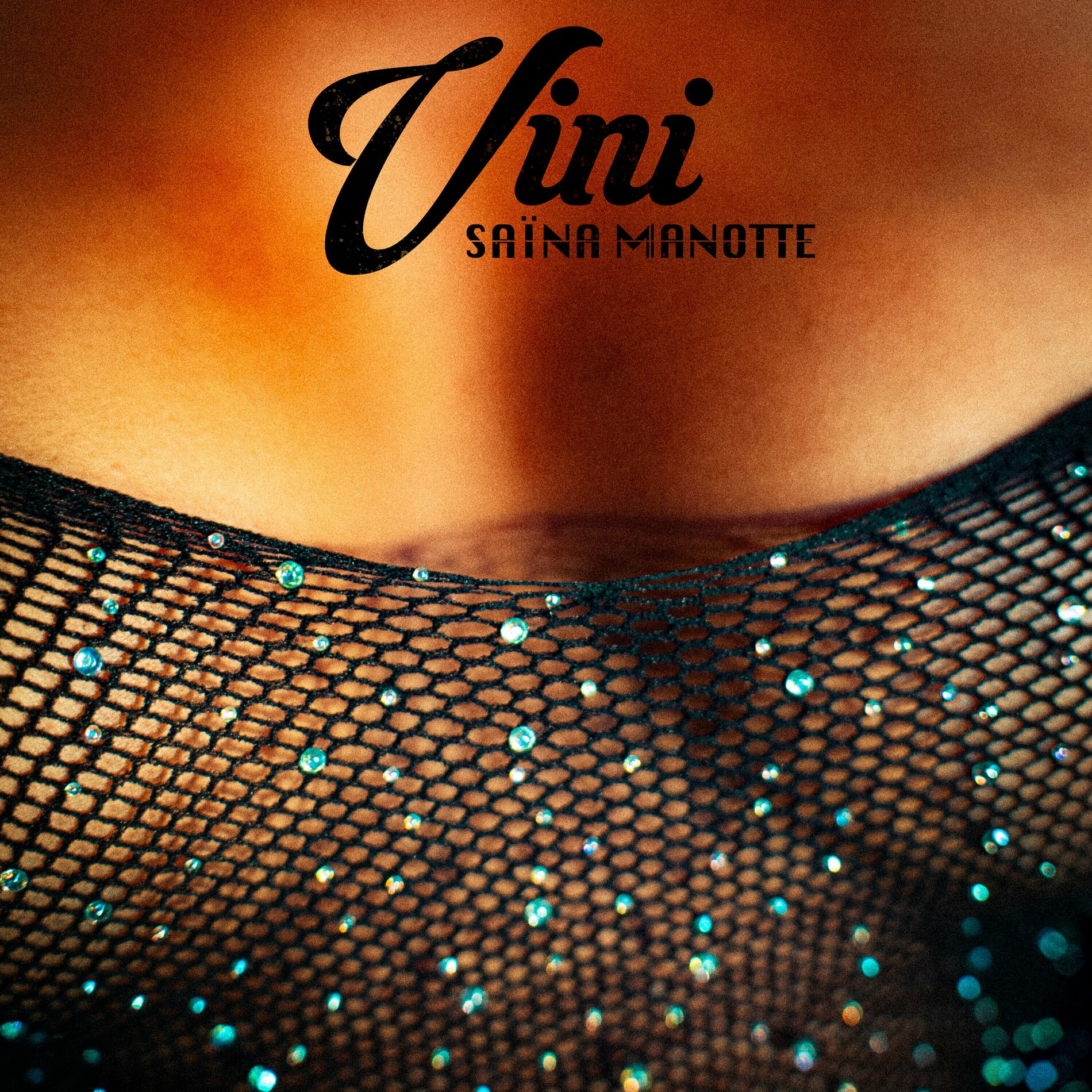 Album cover of Vini