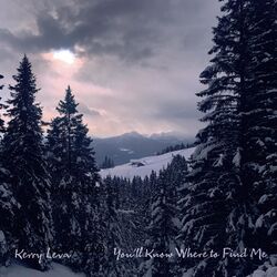 Cover of You'll Know Where to Find Me