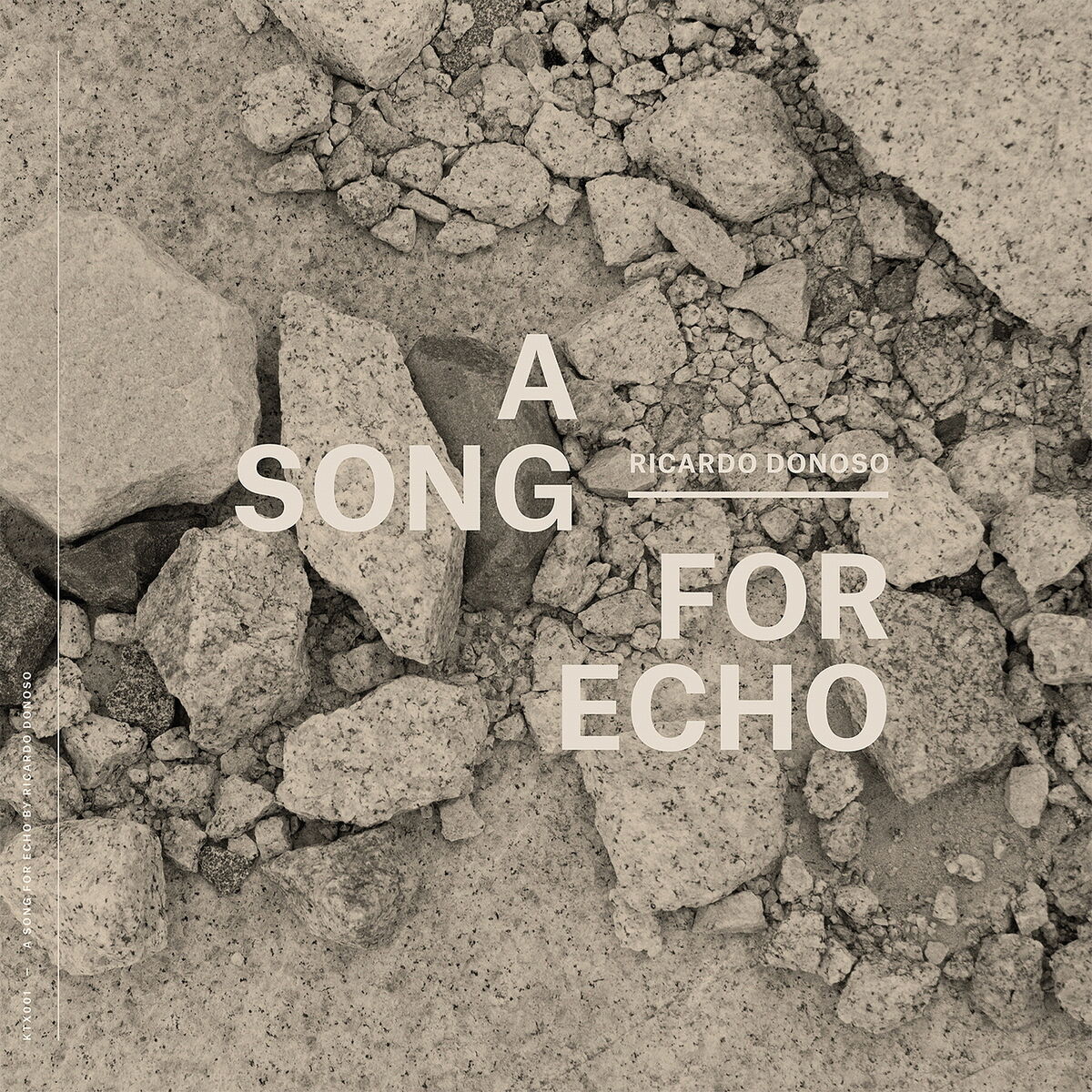 Album cover of A Song For Echo