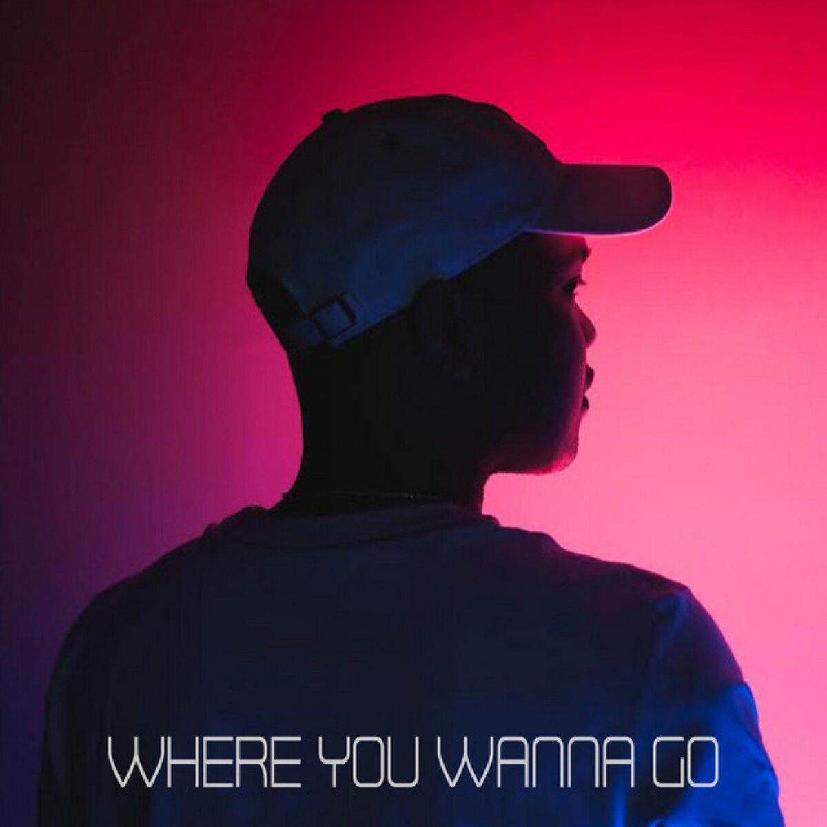 Album cover of Where You Wanna Go