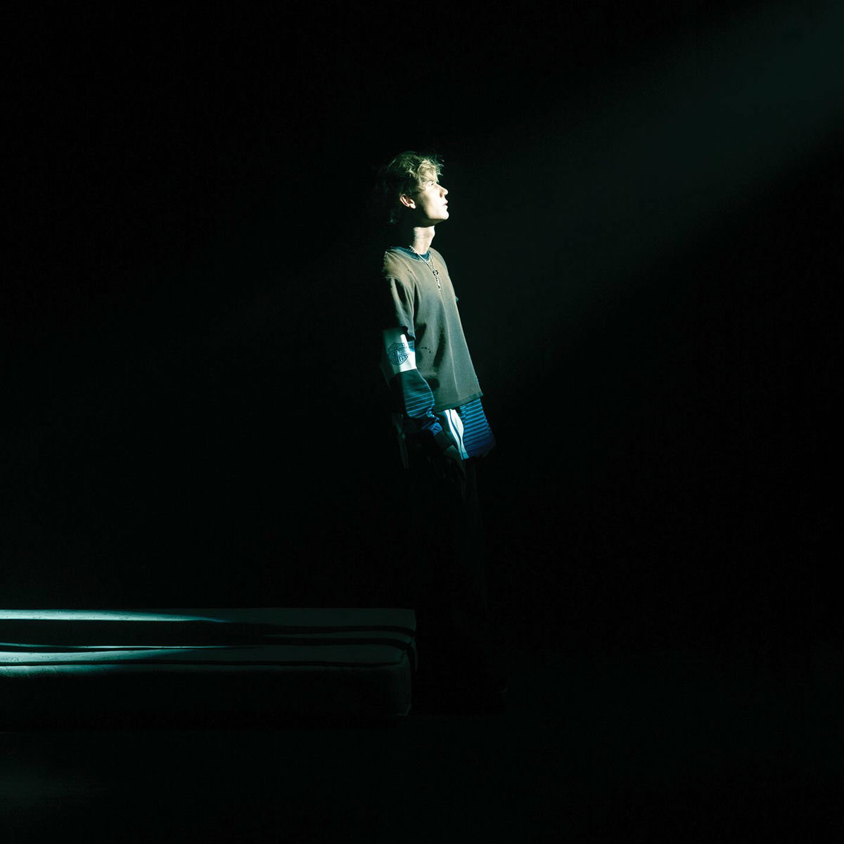 Album cover of Chrome Hearted