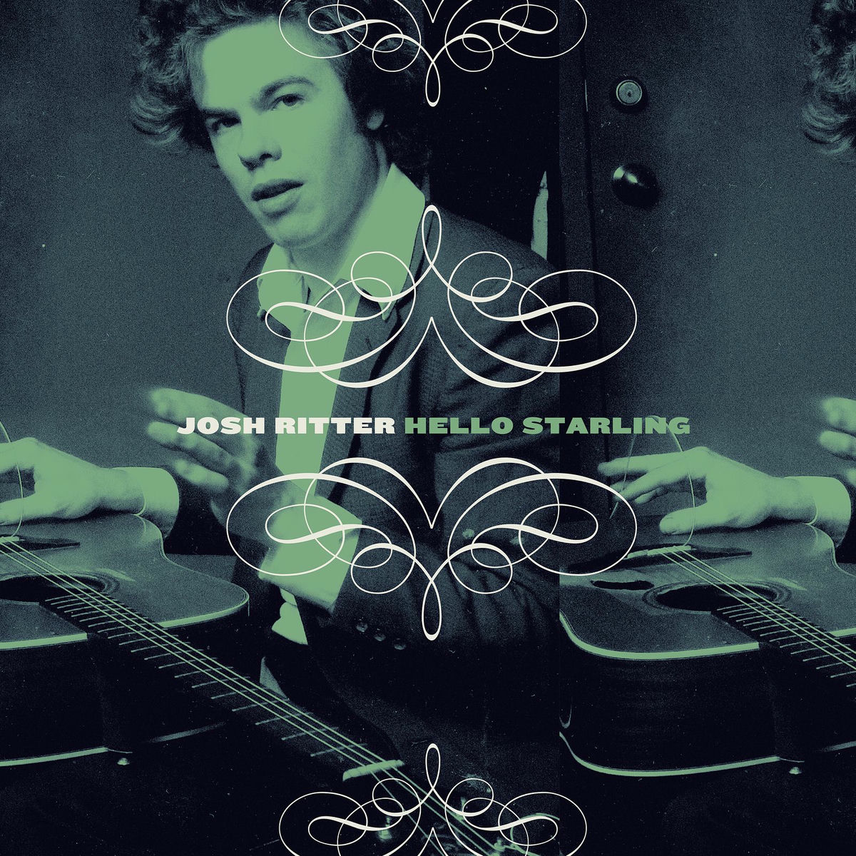 Album cover of Hello Starling