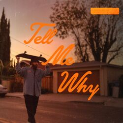 Cover of Tell Me Why