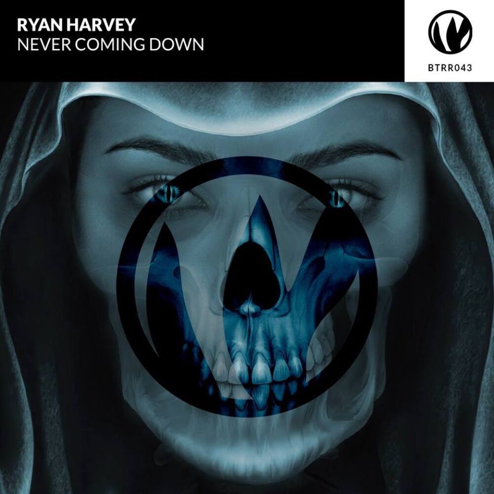 Picture of Never Coming Down