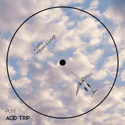 Cover of Acid Trip