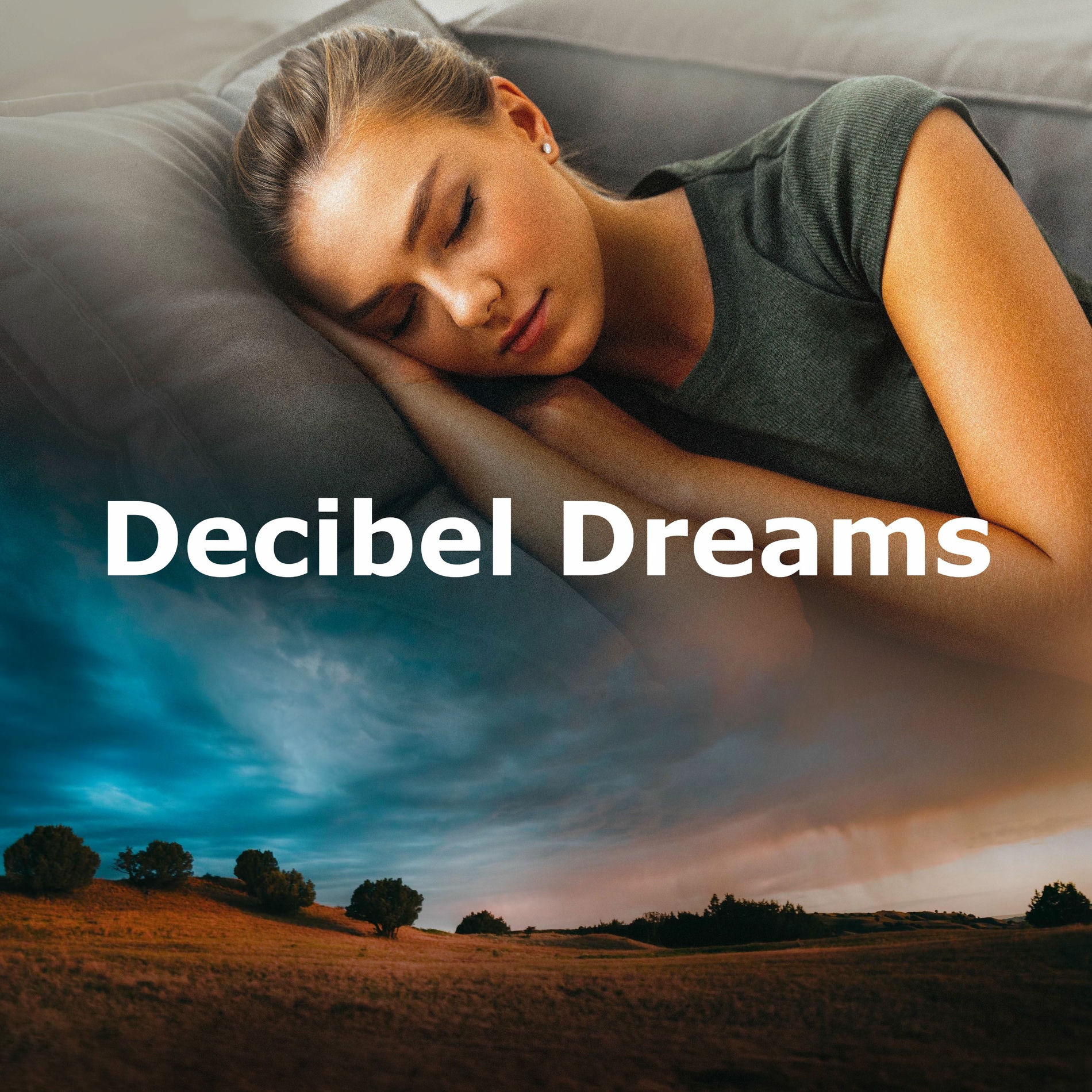 Album cover of Decibel Dreams
