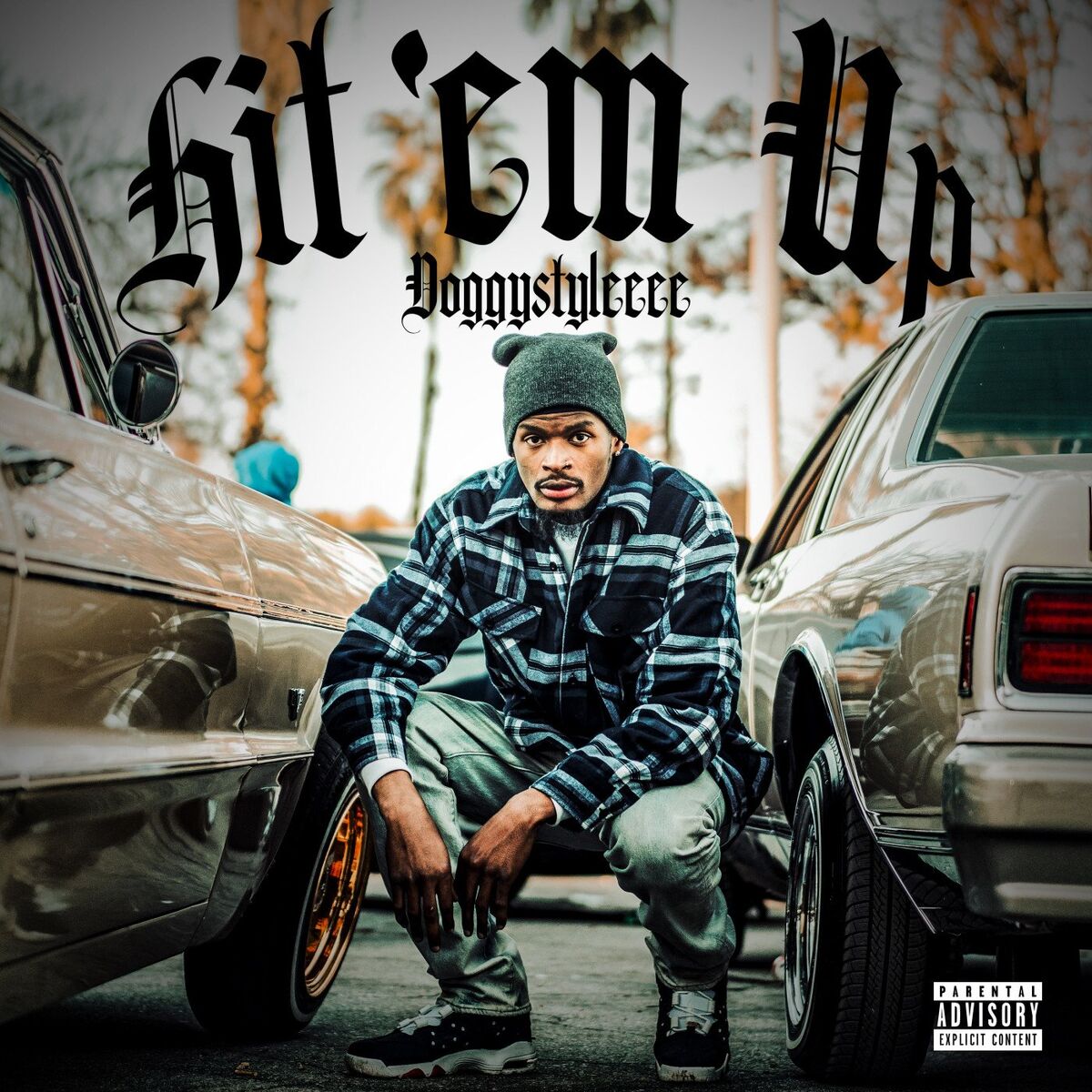 Album cover of Hit Em Up