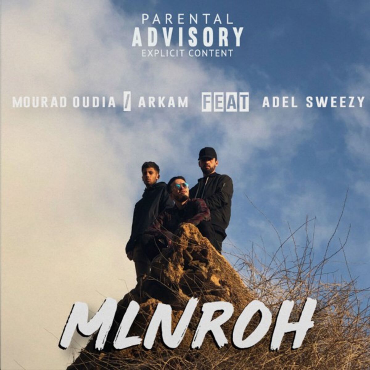 Album cover of Mlnroh