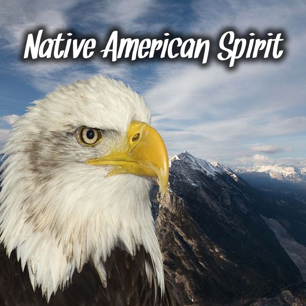 Picture of Native American Spirit