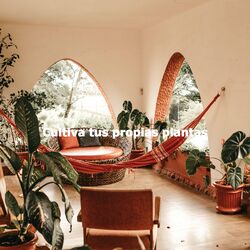 Cover of Cultiva tus propias plantas