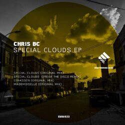 Cover of Special Clouds