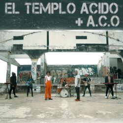 EL TEMPLO ÁCIDO
