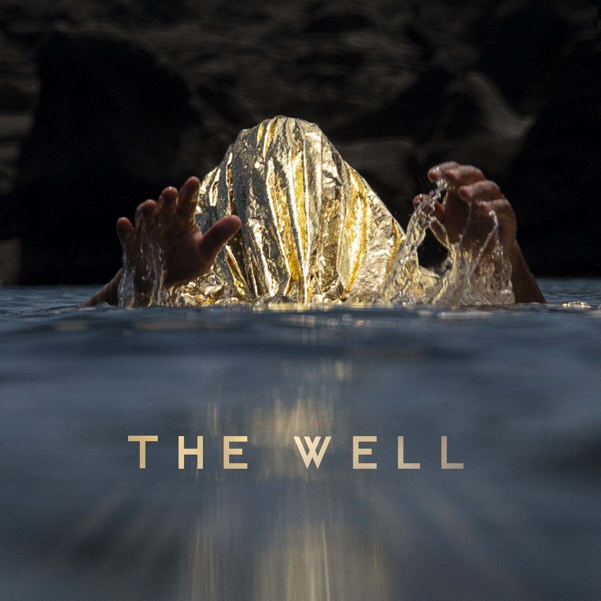 Album cover of The Well